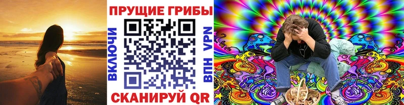 Галлюциногенные грибы Psilocybine cubensis  где можно купить наркотик  Мамадыш 